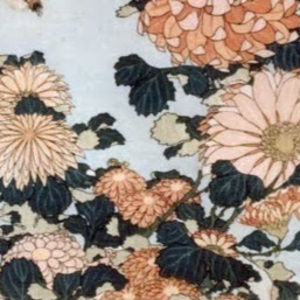 Meet your Posher, Aubrey